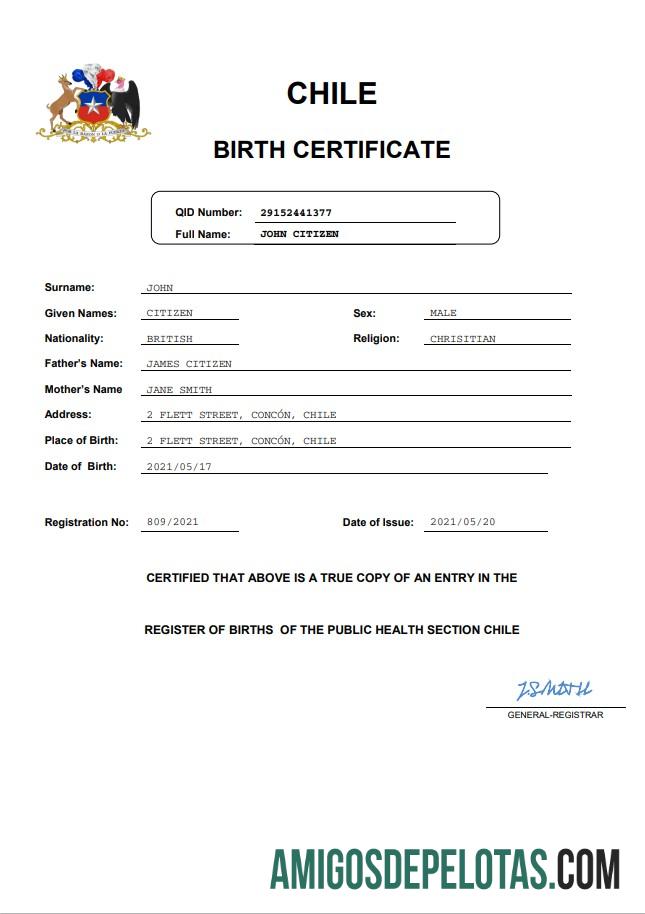 Realista modelo Word e PDF de certidão de nascimento de registro vital do Chile